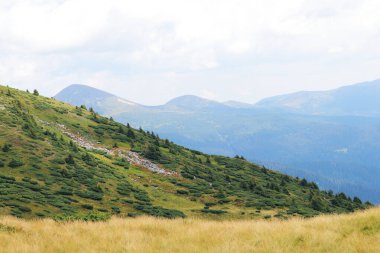 Tonsal perspektifli güzel bir dağ manzarası. Ukrayna 'nın Karpat Dağları. Turizm ve spor eğlencesi kavramı. Doğa