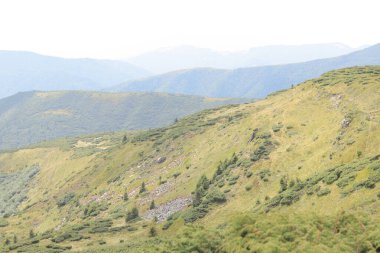 Tonsal perspektifli güzel bir dağ manzarası. Ukrayna 'nın Karpat Dağları. Turizm ve spor eğlencesi kavramı. Doğa