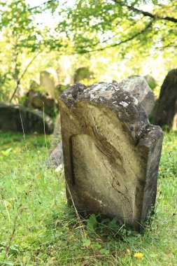 Yasinya, Zakarpattia Oblastı, Ukrayna - 24 Ağustos 2023: Yahudi mezarlığı - kirkut. Karpat Dağları 'nın arka planındaki bitkiler arasında eski mezar taşları. Mezar taşları yaşla eğildi.