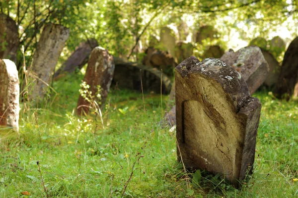Yasinya Zakarpattia Oblast Ukraine August 2023 Jewish Cemetery Kirkut 喀尔巴阡山脉背景下的植物中的古老墓碑 — 图库照片