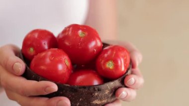 Kırsal domatesleri bir kadının elindeki kasede topladı. Elleri organik sebze bahçesinden gelen kırmızı domatesleri tutuyor. Taze toplanmış domatesleri tutan çiftçi kadın, yakın plan.