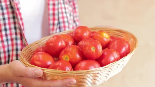 Bäuerin Mit Frischen Tomaten Der Hand Aus Nächster Nähe Frisch — Stockvideo