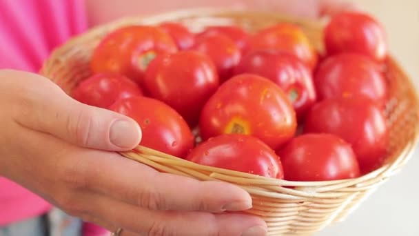 Bäuerin Mit Frischen Tomaten Der Hand Aus Nächster Nähe Frisch — Stockvideo