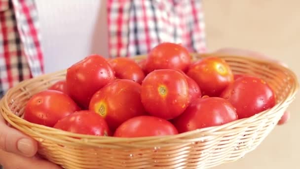 新鮮なトマトを持っている農夫の女性 クローズアップ 新鮮な収穫された村のトマトは 女性の手のバスケットで 有機庭園から赤いトマトを保持する手 — ストック動画