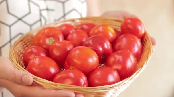 新鮮なトマトを持っている農夫の女性 クローズアップ 新鮮な収穫された村のトマトは 女性の手のバスケットで 有機庭園から赤いトマトを保持する手 — ストック動画