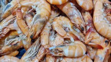 Süpermarkette ya da markette dondurulmuş haşlanmış karides, yakın çekim video. Deniz ürünleri.
