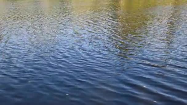 Superfície Água Lago Rio Pedreira Inundada Ondulações Água Bela Cor — Vídeo de Stock