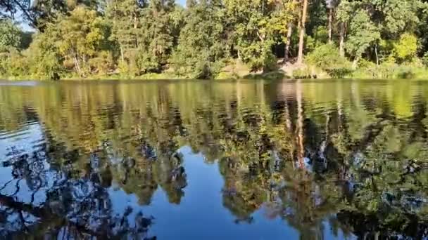湖や川の自然景観 反対岸の水と木の反射 — ストック動画