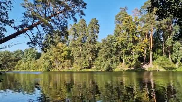 Природный Пейзаж Озера Реки Отражения Воде Дерево Противоположном Берегу — стоковое видео