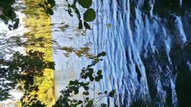 Bir gölün ya da nehrin doğal manzarası, karşı kıyıdaki su ve ağaçlara yansıyor. Açık hava yürüyüşü için park et. Ormandaki büyük göl.