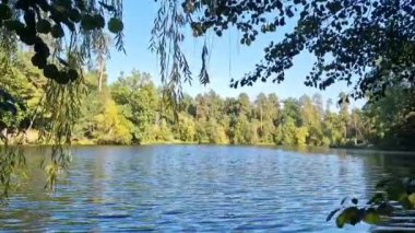 Bir gölün ya da nehrin doğal manzarası, karşı kıyıdaki su ve ağaçlara yansıyor. Açık hava yürüyüşü için park et. Ormandaki büyük göl.