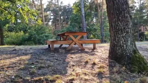 Tomma Picknickbord Med Bänkar Skogen Solens Strålar Picknick Naturen Smidig — Stockvideo
