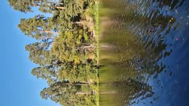 Bir Gölün Nehrin Doğal Manzarası Karşı Kıyıdaki Ağaçlara Yansıyor Açık — Stok video