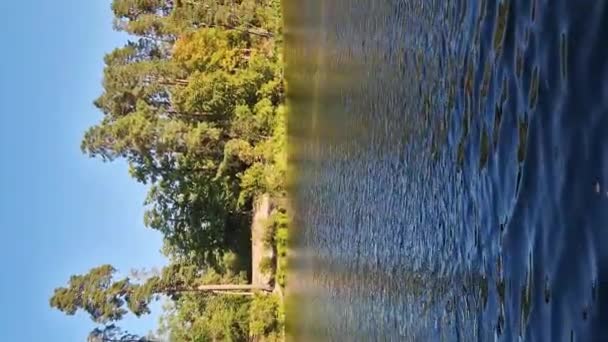 Bir Gölün Nehrin Doğal Manzarası Karşı Kıyıdaki Ağaçlara Yansıyor Açık — Stok video