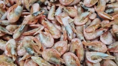 Süpermarkette donmuş karides satmak. Balık pazarında karides, düzgün kamera hareketi. Deniz ürünleri. Süpermarketin buzdolabında çiğ karides.
