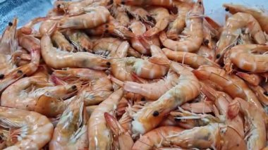 Süpermarkette ya da markette dondurulmuş haşlanmış karides, yakın çekim video. Deniz ürünleri.