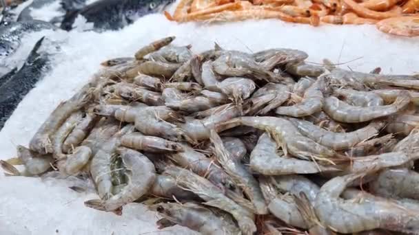 在超级市场卖生虾 新鲜生虾在鱼市场上 镜头流畅流畅 虾仁特写 — 图库视频影像