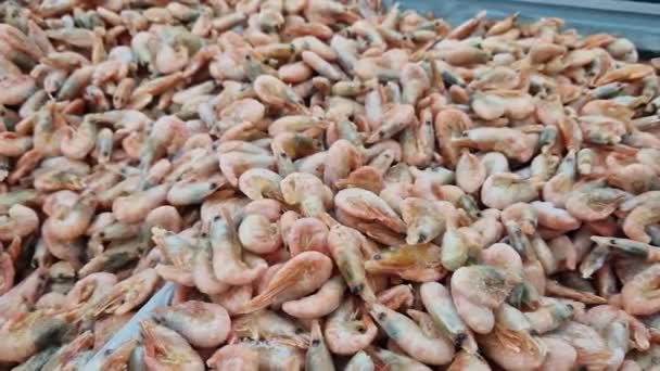 在超级市场卖冷冻虾 虾在鱼市场上 镜头平稳地移动 超市冰箱里的虾仁特写 — 图库视频影像
