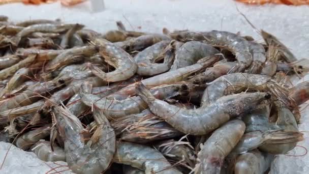 Menjual Udang Mentah Supermarket Udang Mentah Segar Pasar Ikan Gerakan — Stok Video