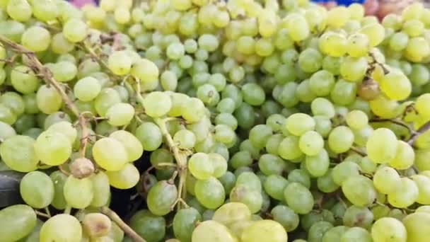 Des Grappes Raisins Dans Une Boîte Dans Supermarché Raisins Verts — Video