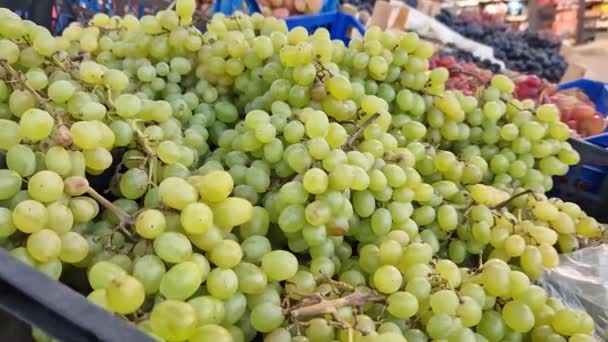 Des Grappes Raisins Dans Une Boîte Dans Supermarché Raisins Verts — Video