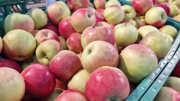 Pommes Dans Des Boîtes Plastique Dans Magasin Gros Plan Pommes — Video