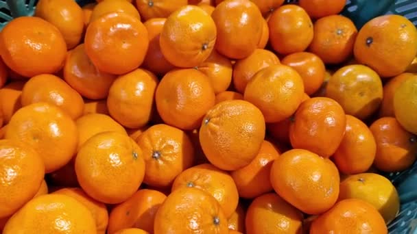 Süpermarkette Mandalina Satmak Plastik Kutularda Citrus Meyveleri Seçici Odaklı Yakın — Stok video