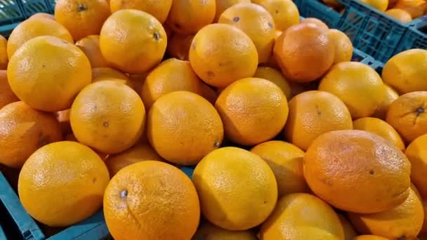 Πώληση Πορτοκαλιών Στο Σούπερ Μάρκετ Εσπεριδοειδή Πλαστικά Κουτιά Κοντινό Πλάνο — Αρχείο Βίντεο
