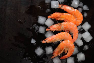 Koyu ahşap arka planda buzlu taze soğuk karides, üst manzara. Koyu arkaplanda büyük bir karides. Pişmiş kırmızı karides.