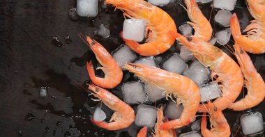 Koyu ahşap arka planda buzlu taze soğuk karides, üst manzara. Koyu arkaplanda büyük ve orta boy karides. Pişmiş kırmızı karides.