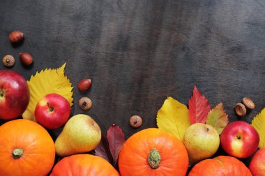 Olgun balkabakları, elmalar, armutlar, düşen yapraklar ve meşe palamutlarıyla sonbahar arkaplanı. Koyu ahşap arka planda sonbahar hasadı, üst manzara. Şükran Günü tasarım konsepti. Ürünler masada.
