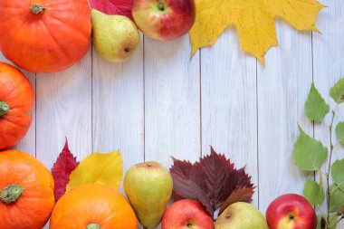 Olgun balkabaklarıyla, yapraklarıyla, elmalarıyla ve armutlarıyla sonbahar arkaplanı. Hafif ahşap arka planda sonbahar hasat çerçevesi, üst manzara. Mevsimlik tatil kartları için maket