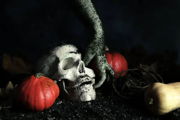 Zombie hand holding a skull. Halloween holiday event concept. Monster hand, soil, roots and pumpkins. Hand and artificial skull. Happy Halloween