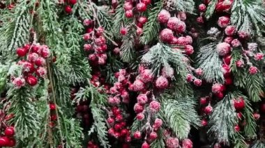 Yapay Noel ağacı dalları, kırmızı böğürtlen kümeleri, yapay kar. Yeni yıl dekoru. Noel ağacı süslemelerine yakın çekim. Süpermarkette yılbaşı dekoru satıyorum.