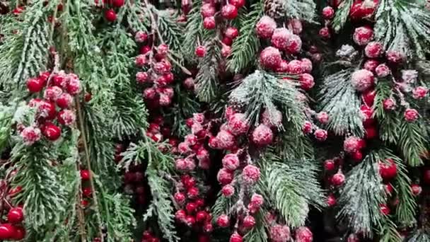 Artificial Christmas Tree Branches Clusters Red Berries Artificial Snow New — Stock Video