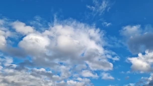 Yağmurdan Sonra Gökyüzü Sonbahar Yaz Bulutlu Gökyüzü Koyu Gri Beyaz — Stok video