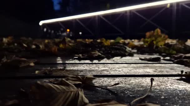 Осень Парке Поздно Вечером Вид Первого Этажа Опадают Листья Деревянная — стоковое видео