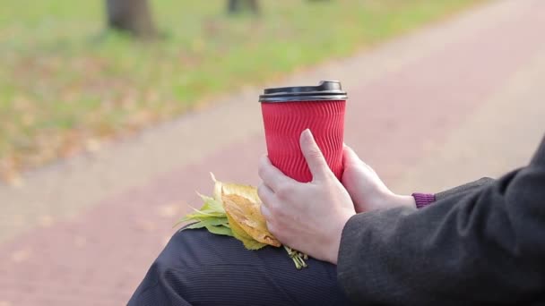 Dziewczyna Pije Kawę Lub Herbatę Parku Jesienią Ręce Papierowym Kubkiem — Wideo stockowe
