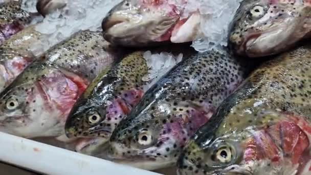 Trucha Pescado Fresco Encuentra Las Patatas Fritas Cerca Pescado Mostrador — Vídeo de stock