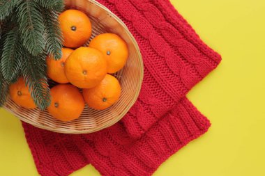 Sepette mandalinalar, kırmızı örgü bir eşarp ve sarı arkaplanda köknar dalları. Noel kompozisyonu, Yeni Yıl Dekorasyonu