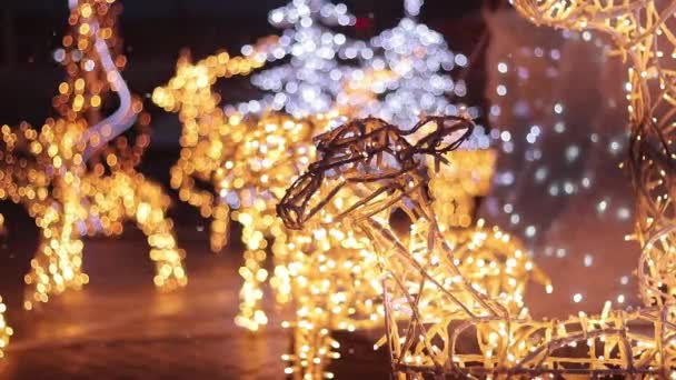Kiev Ucrânia 2023 Decorações Cidade Natal Decoração Ano Novo Perto — Vídeo de Stock