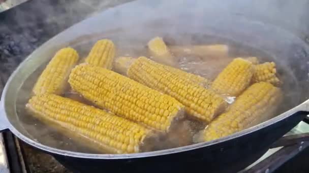 把玉米放在锅里的特写 集市上的食物场 冬天在户外烹调 火辣可口的食物 — 图库视频影像