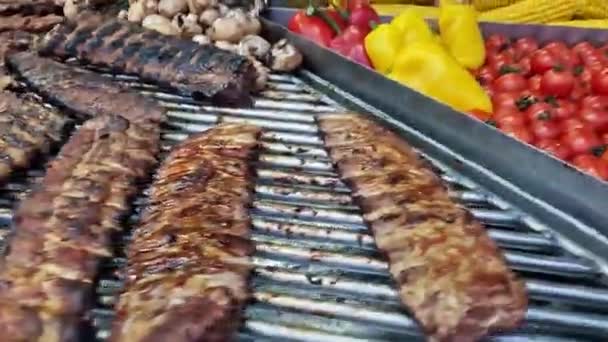ケバブスは 自動グリルクローズアップ フェアでフードコート 冬の屋外料理 ホットでおいしい食べ物 シシュケバブを調理する 石炭の肉 — ストック動画