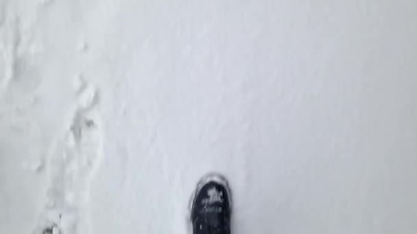女性の足は冬に雪の中を歩き 一人一人の視線を眺める 雪の中を歩く人間の足のクローズアップ ウィンターウォーク — ストック動画