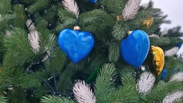 Κίεβο Ουκρανία 2024 Χριστουγεννιάτικο Δέντρο Διακοσμητικές Ταυτόσημες Κίτρινες Και Μπλε — Αρχείο Βίντεο
