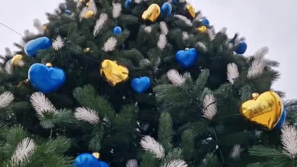Київ Україна 2024 Різдвяна Ялинка Декоративними Ідентичними Жовтими Блакитними Серцями — стокове відео