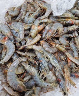 Süpermarkette çiğ karides satmak. Balık pazarında taze çiğ karides. Deniz ürünleri. Çiğ karides yakın plan.