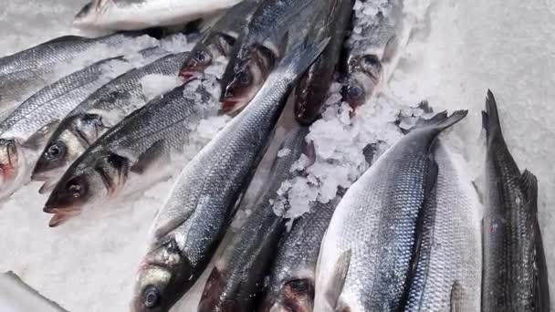 新鮮な魚は剃られた氷の近くにあります 店内の冷蔵カウンターで魚を食べる スーパーマーケット ディキセントラックス 健康的な食事のためのオメガ脂肪酸の源 シーベース — ストック動画