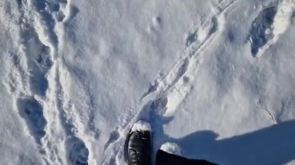 女人的脚在雪地里行走 第一眼看到 在雪中行走的人的脚的特写 在冬天散步 — 图库视频影像