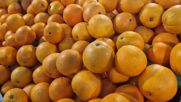 Süpermarkette Portakal Satışı Plastik Kutularda Citrus Meyveleri Seçici Odaklı Yakın — Stok video